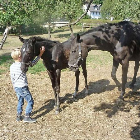 Ferienwohnungen Baust Im Muehlental Eslohe Zewnętrze zdjęcie